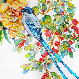 Экзотическая птичка.