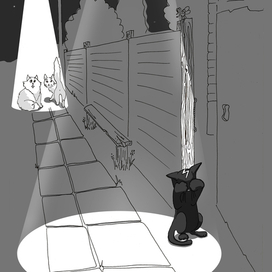 Котенок Зевс плачет