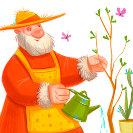 Дед мороз и его растения