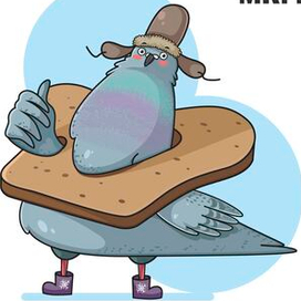 мистер голубь