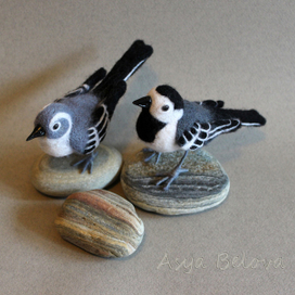 Парочка трясогузок