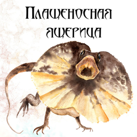 Плащеносная ящерица - акварель