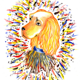 Принт - кокер спаниель 