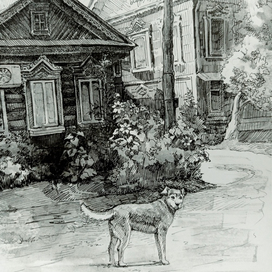 Бродячая жизнь