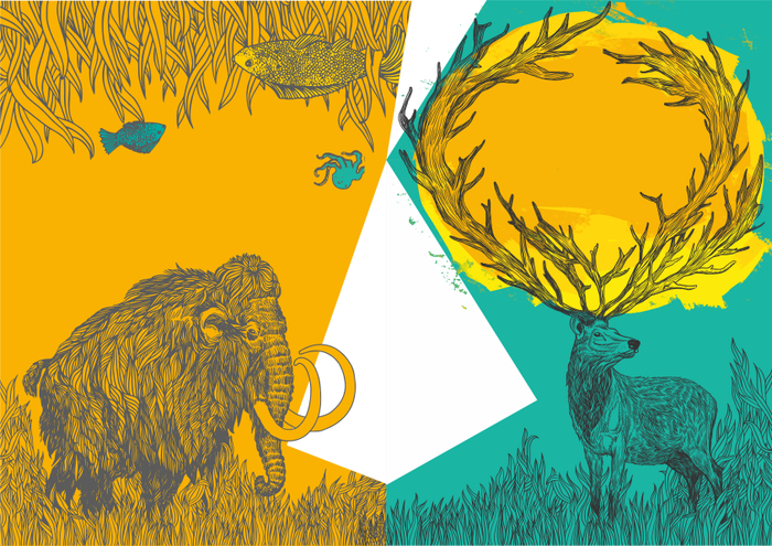 Мамонт, Олень, рыбы, осбминог