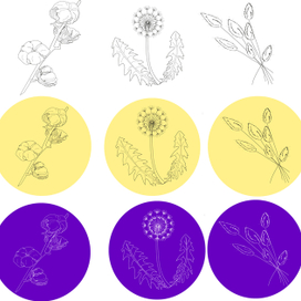 Линейные иконки в 3-х вариантах на тему растений