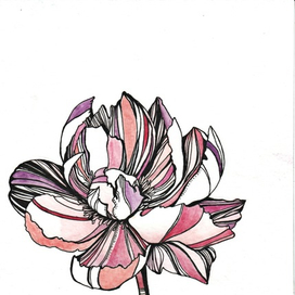 Графический пион 