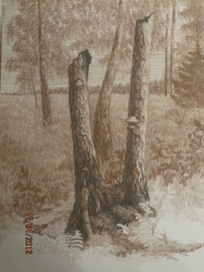 Старый пень