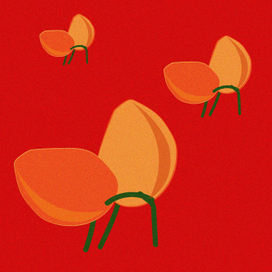 Танго-манго