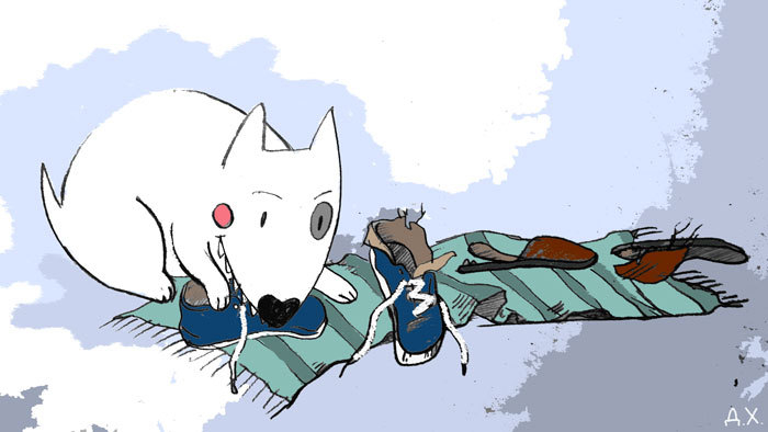 Ферд и кеды