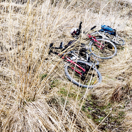 Усталость ...