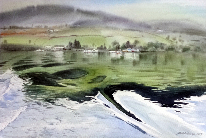 ,,Заплыв по озеру.Ирландия,,