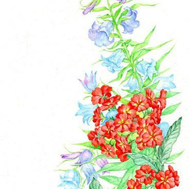 Примула и колокольчики