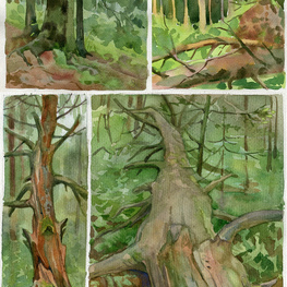 Портреты деревьев