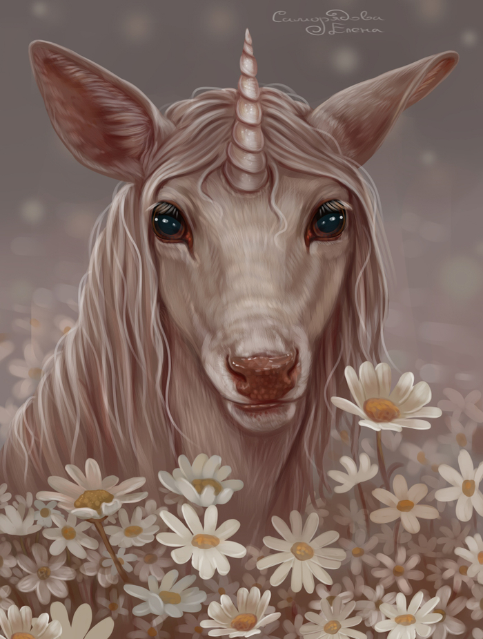 Единорог и ромашки