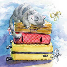 Самолётный кот