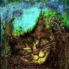 Тёплые майские сны