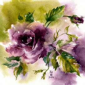 Purple rose