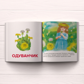 Книга "Первые слова"