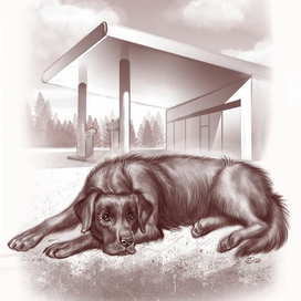 Иллюстрации к книге Евгения Чертовских "Лучший подарок"  ЧАК