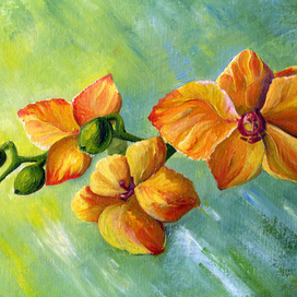 рыжая орхидея