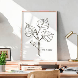 Зарисовка тополя в интерьере