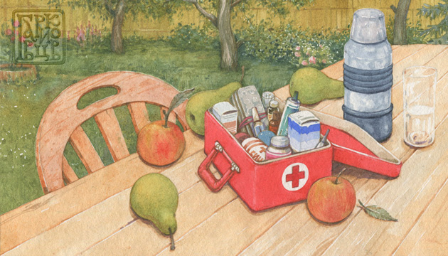Аптечка для дачи