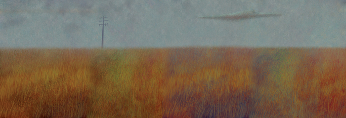 Дорога домой