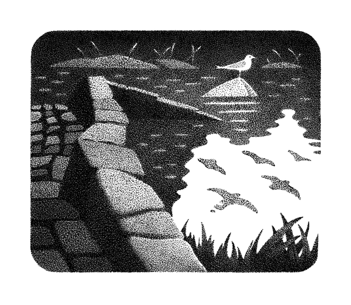 Белая птица