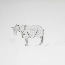 Конь в пальто)