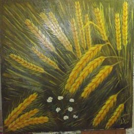 ромашки во ржи