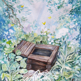 Цветенье трав у старого колодца