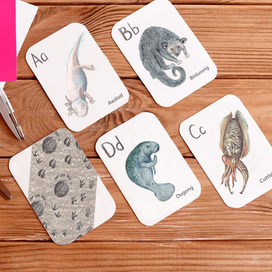 Алфавит дикой природы