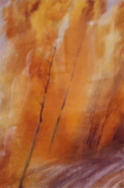 Рыжая осень