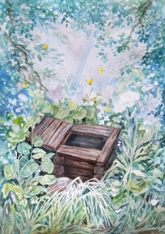 Цветенье трав у старого колодца