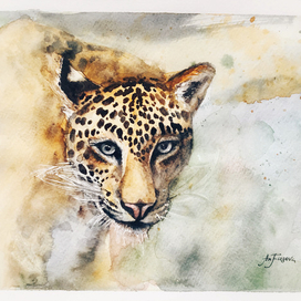 Jaguar from the book