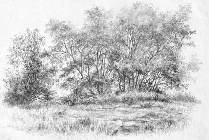 У обмелевшей запруды(зарисовка, пленер )