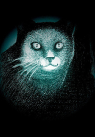 Боевой клич кота Микэ