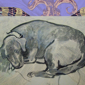 цветные собачьи сны)