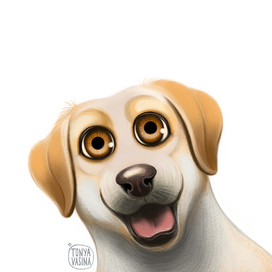 Пес для упаковки