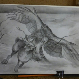 Сокол на охоте