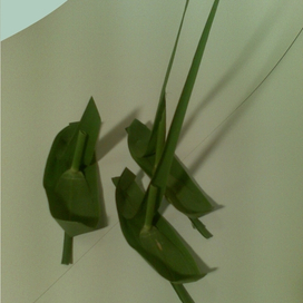 Кораблики из камыша