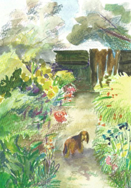 Пойдем домой