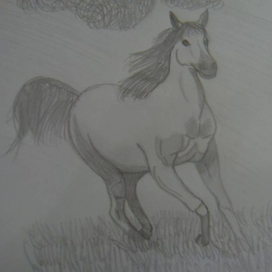 Быстрый конь