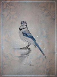 Снежная сойка