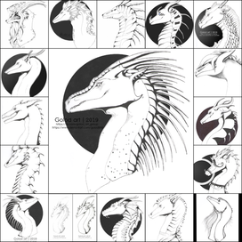 Ещё больше драконов