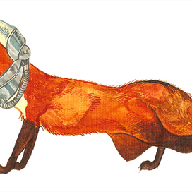 лис - космонавт 