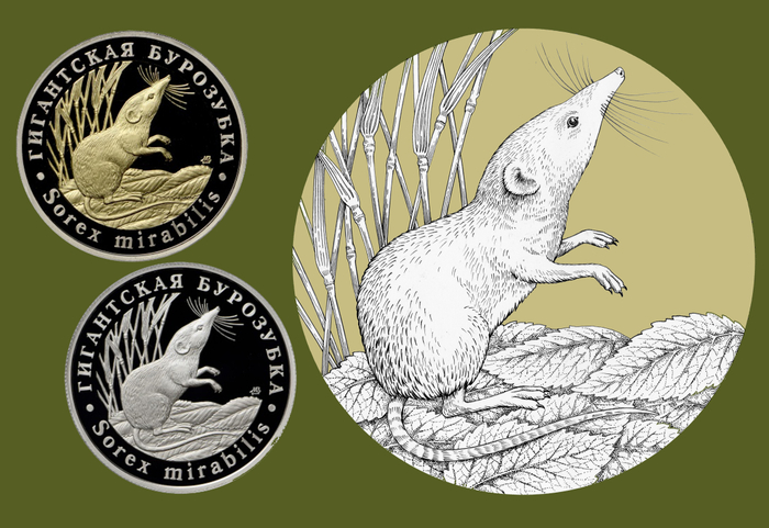 "Гигантская бурозубка" Серия жетонов "Красная книга СССР"