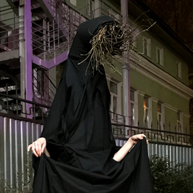 голова-куст