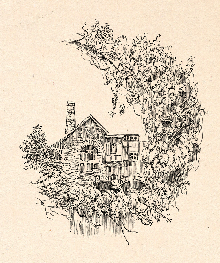 Глицинии. Гагры